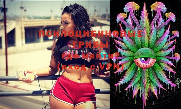 шишки Чегем