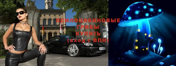 шишки Чегем