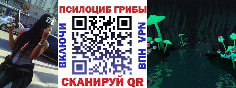 Псилоцибиновые грибы мицелий  Купить  Чебаркуль 